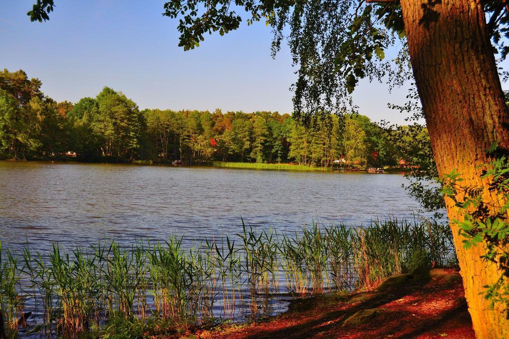 Gaestehaus Liubas Insel Köthen المظهر الخارجي الصورة